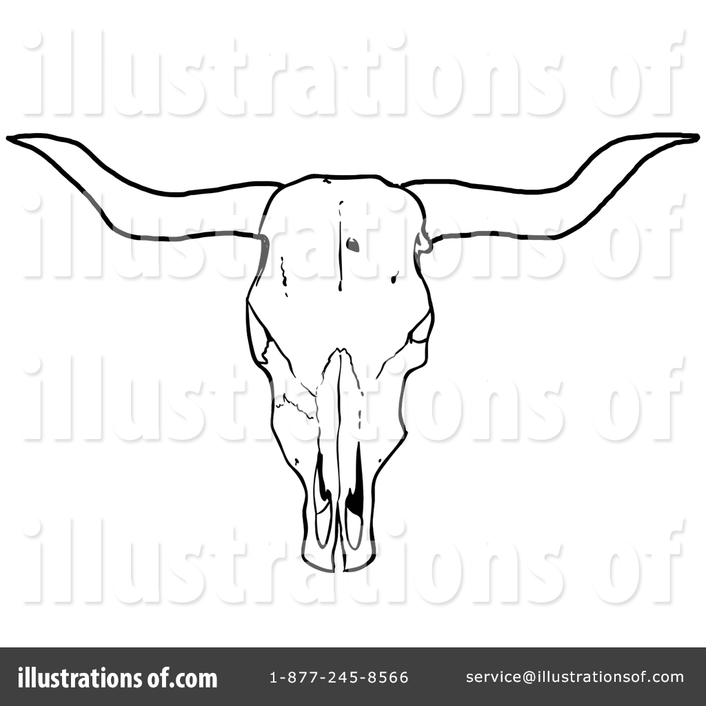 1024x1024 Collection Of 'longhorn Skull Drawing' Download More Than