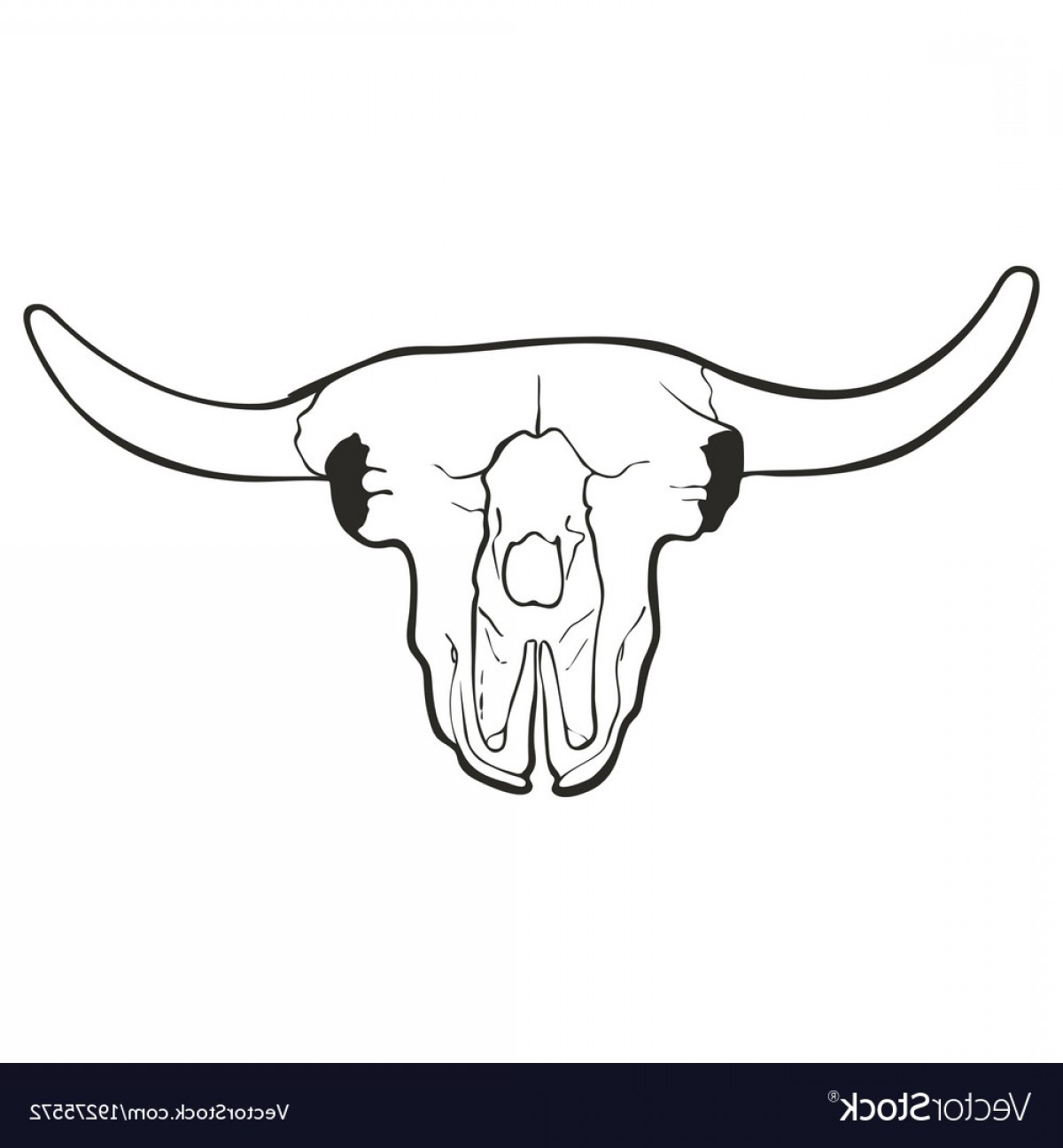 1200x1296 Hand Drawn Skull Of A Bull Vector Soidergi