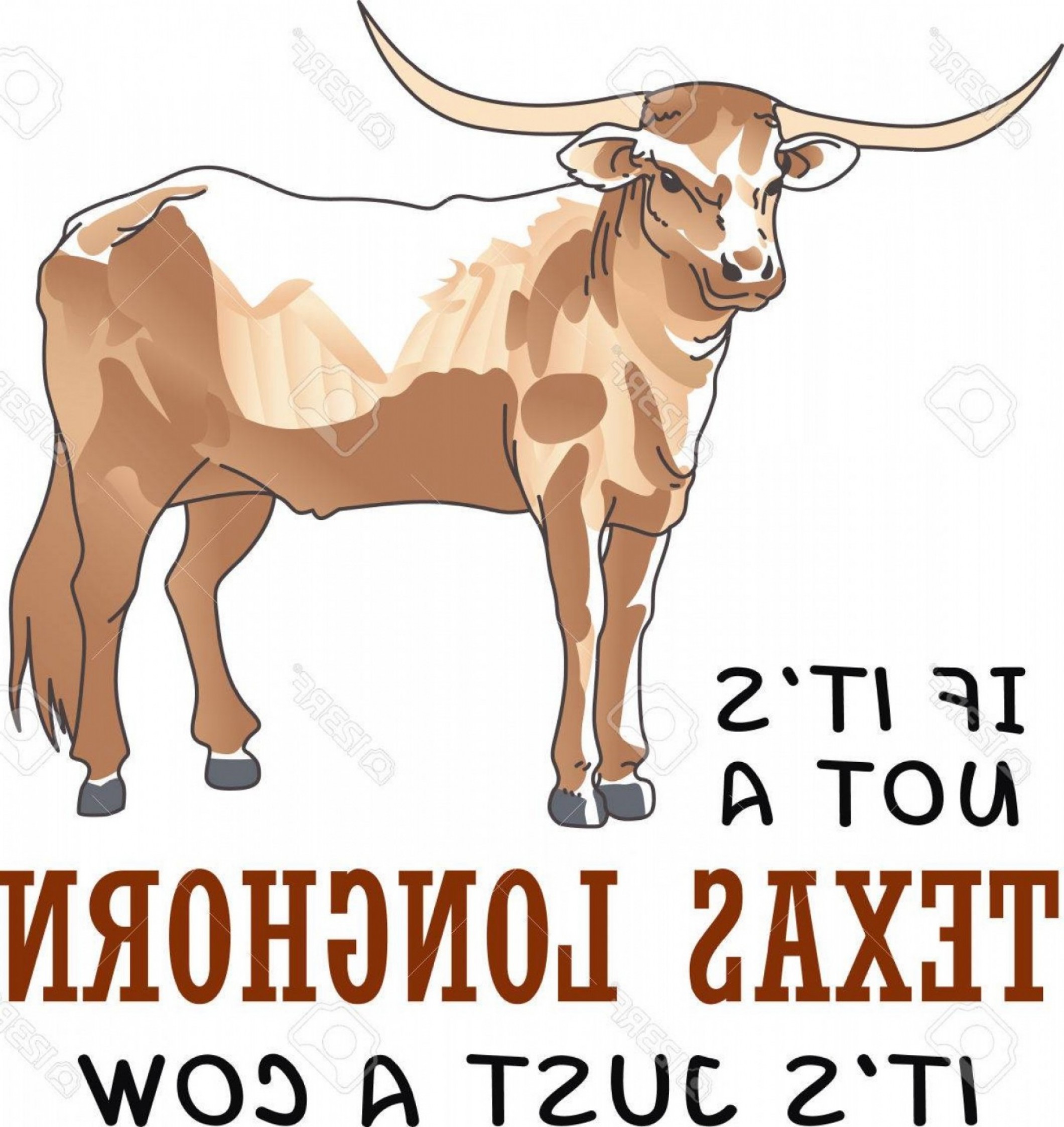2120x2246 Photostock Vector The Texas Longhorn Steer Is The Perfect Mascot