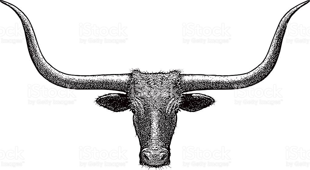 1024x560 Steer Head, Line Art Texas Longhorn Isolated On White Branding