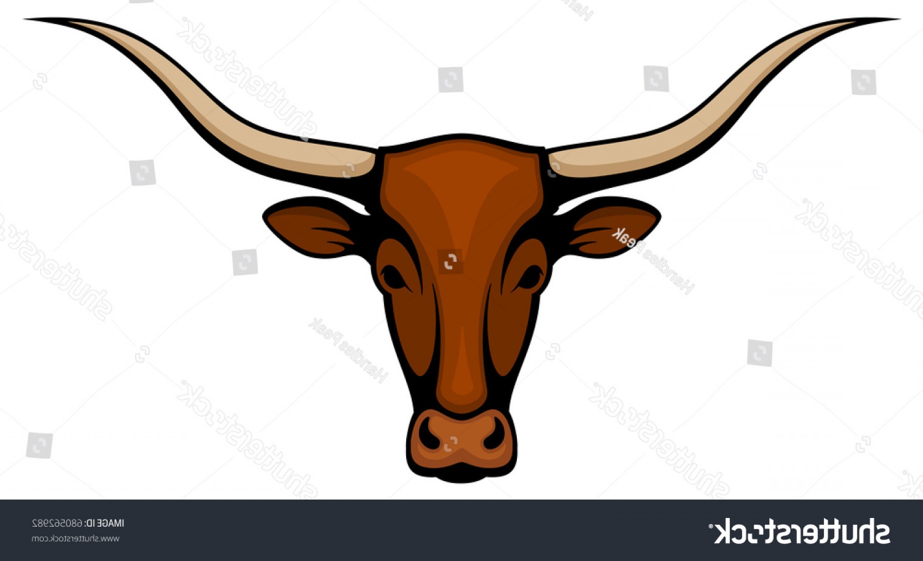 1800x1095 Vector Illustration Head Longhorn Steer Soidergi