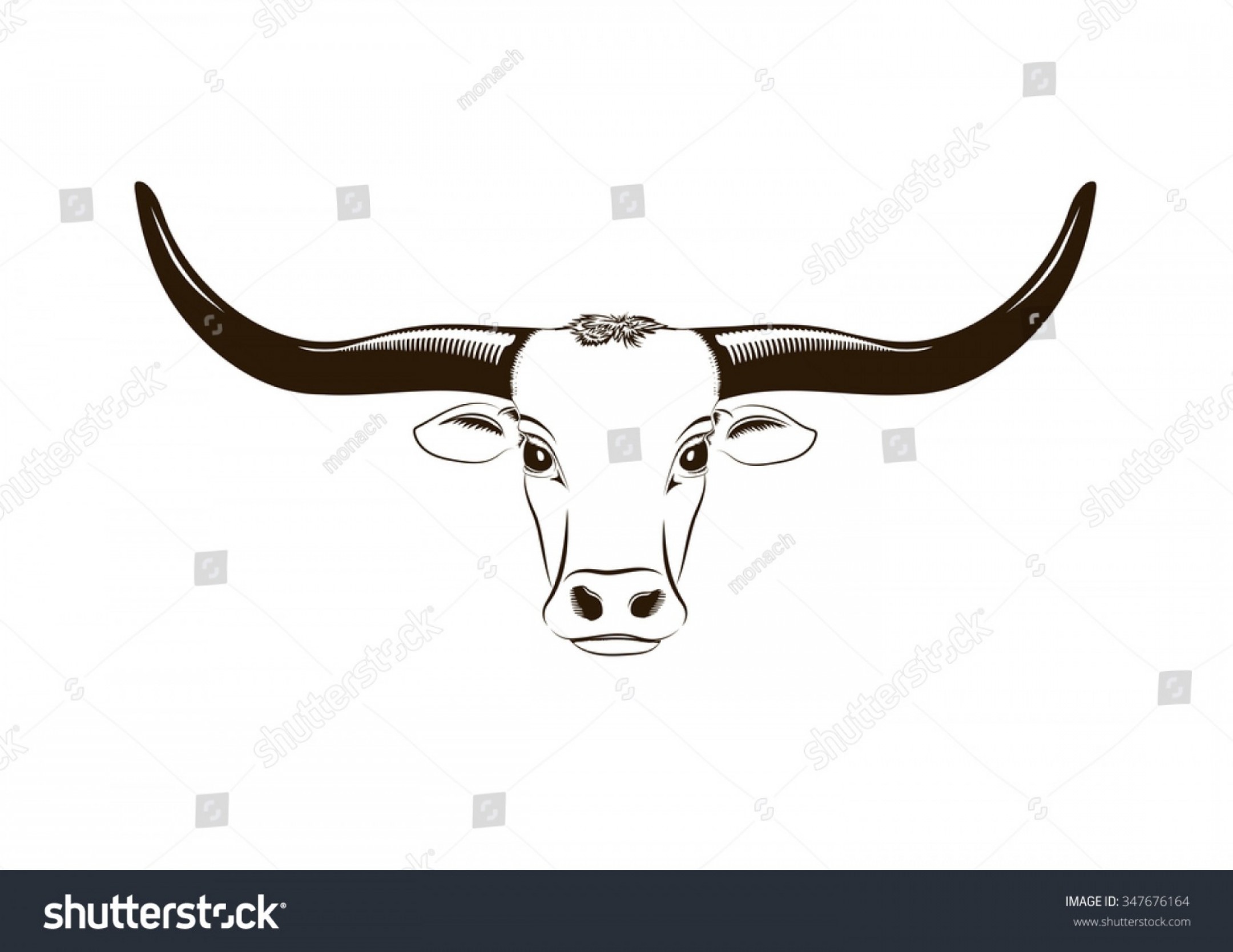 2160x1668 Vector Isolated Longhorn Head On White Soidergi