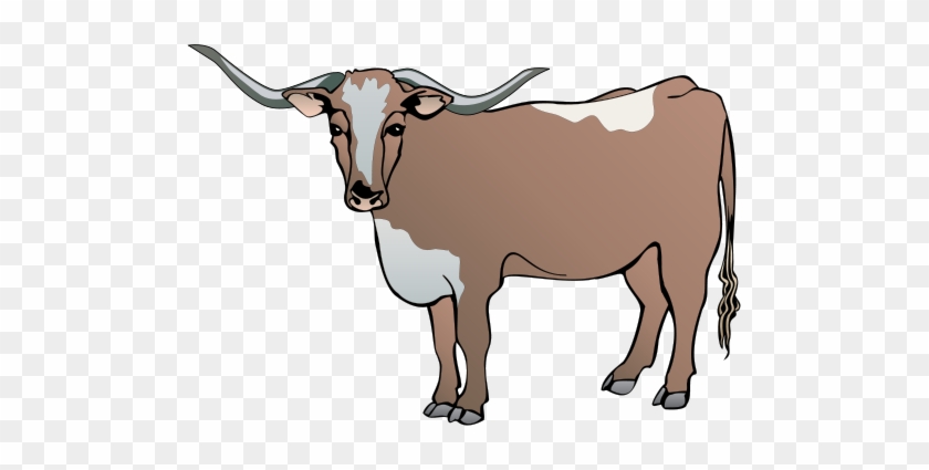 840x425 Longhorn Cattle Clipart Drawing