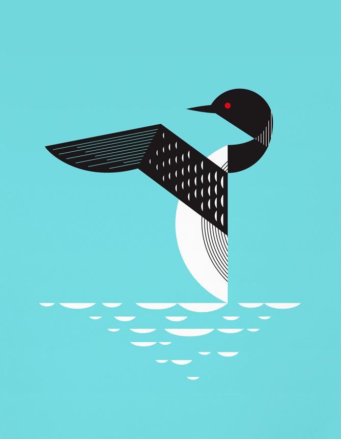 670x862 Loon Design
