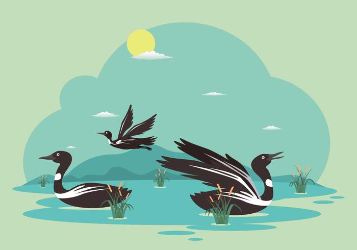 700x490 Loon Free Vector Art