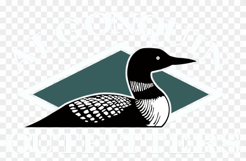 840x551 Birds Vector Loon