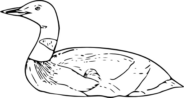 600x321 Loon Free Vector Download