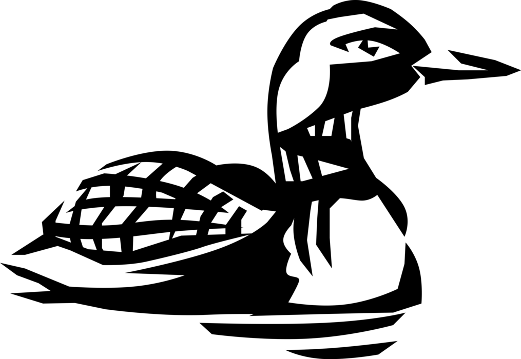 1015x700 North America Loon Bird