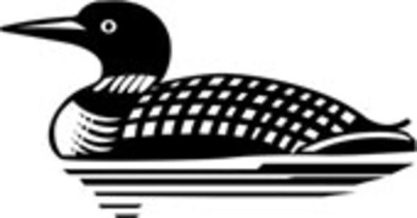 600x314 Loon Clipart Black And White Loon Clip Art Image