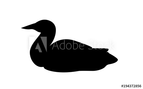 500x313 Loon Silhouette On White Background