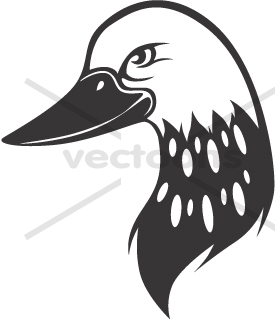 275x320 Common Loon Head In Black
