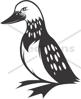 262x320 Common Loon In Black