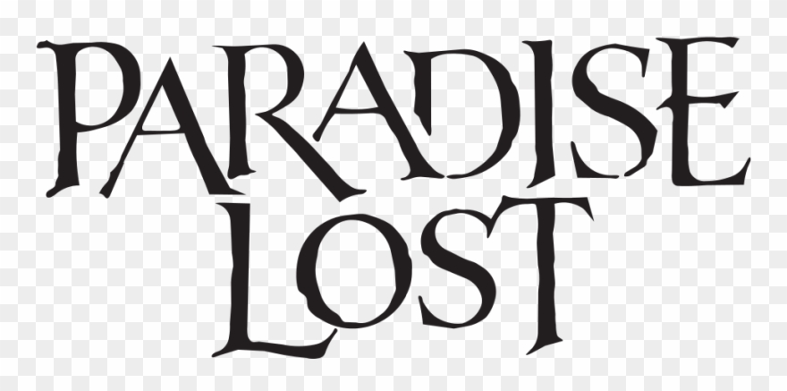 Lost Vector Logo 880x437 Lost Vector Logo