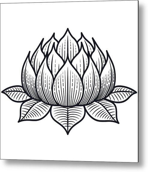 493x572 Lotus Flower Silhouette Illustration