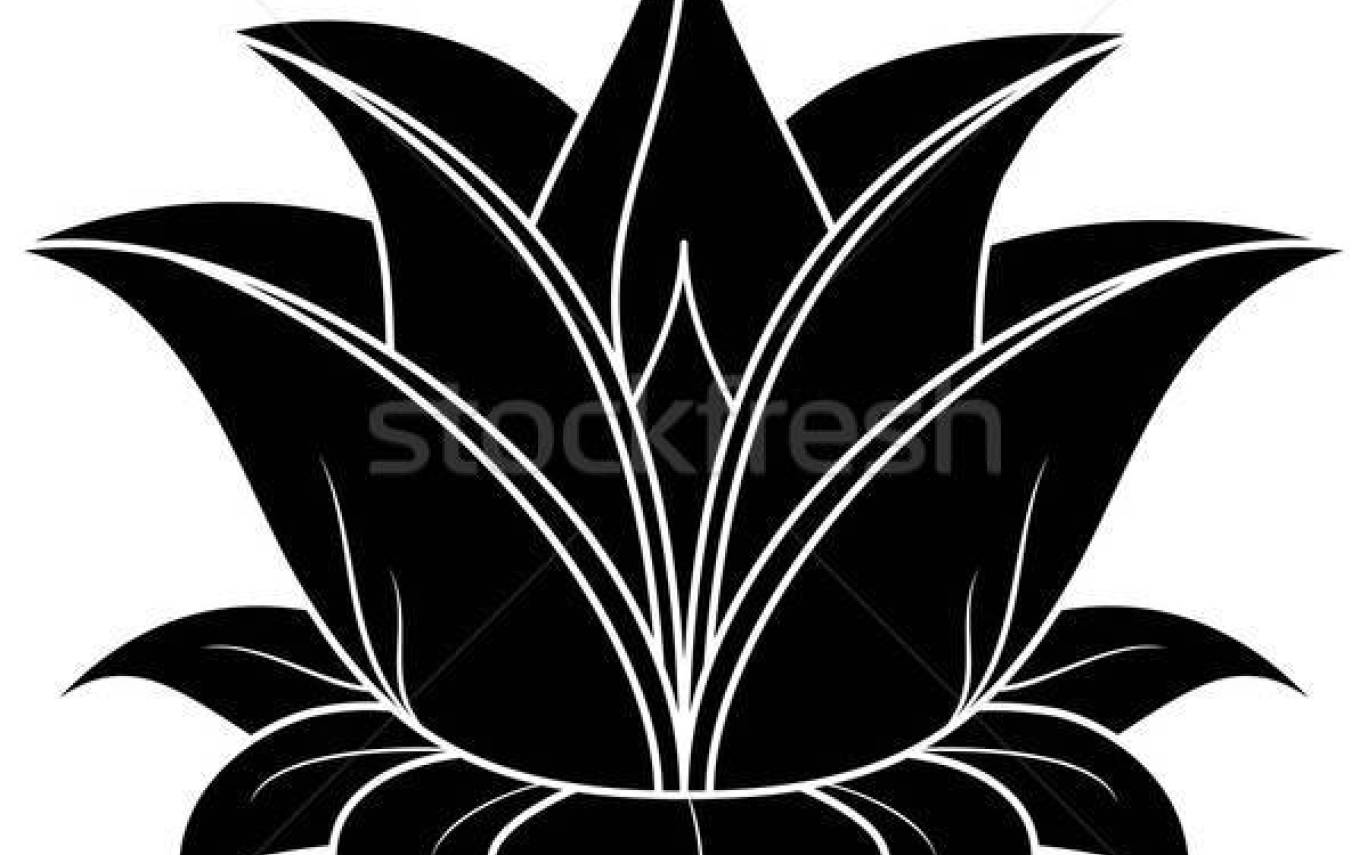 1368x855 Lotus Flower Silhouette Vector Flowers Healthy Gardening Flower