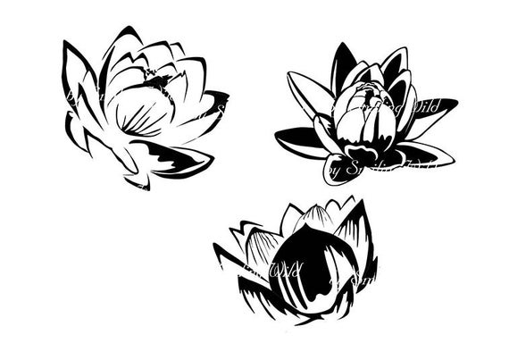 570x403 Lotus Flower Silhouette Png Vector Graphic Art Flower Art Etsy