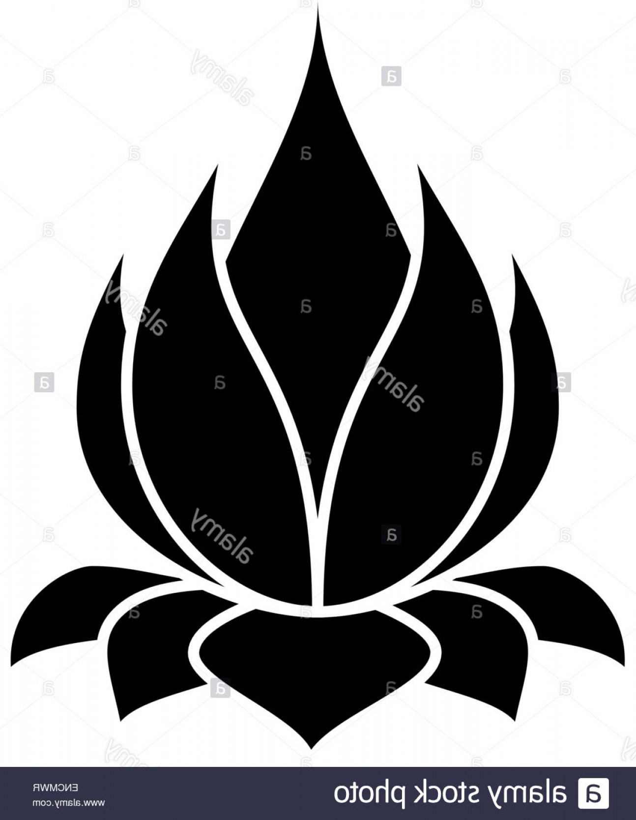 1294x1668 Simple Lotus Flower Silhouette Stock Vector Art Illustration