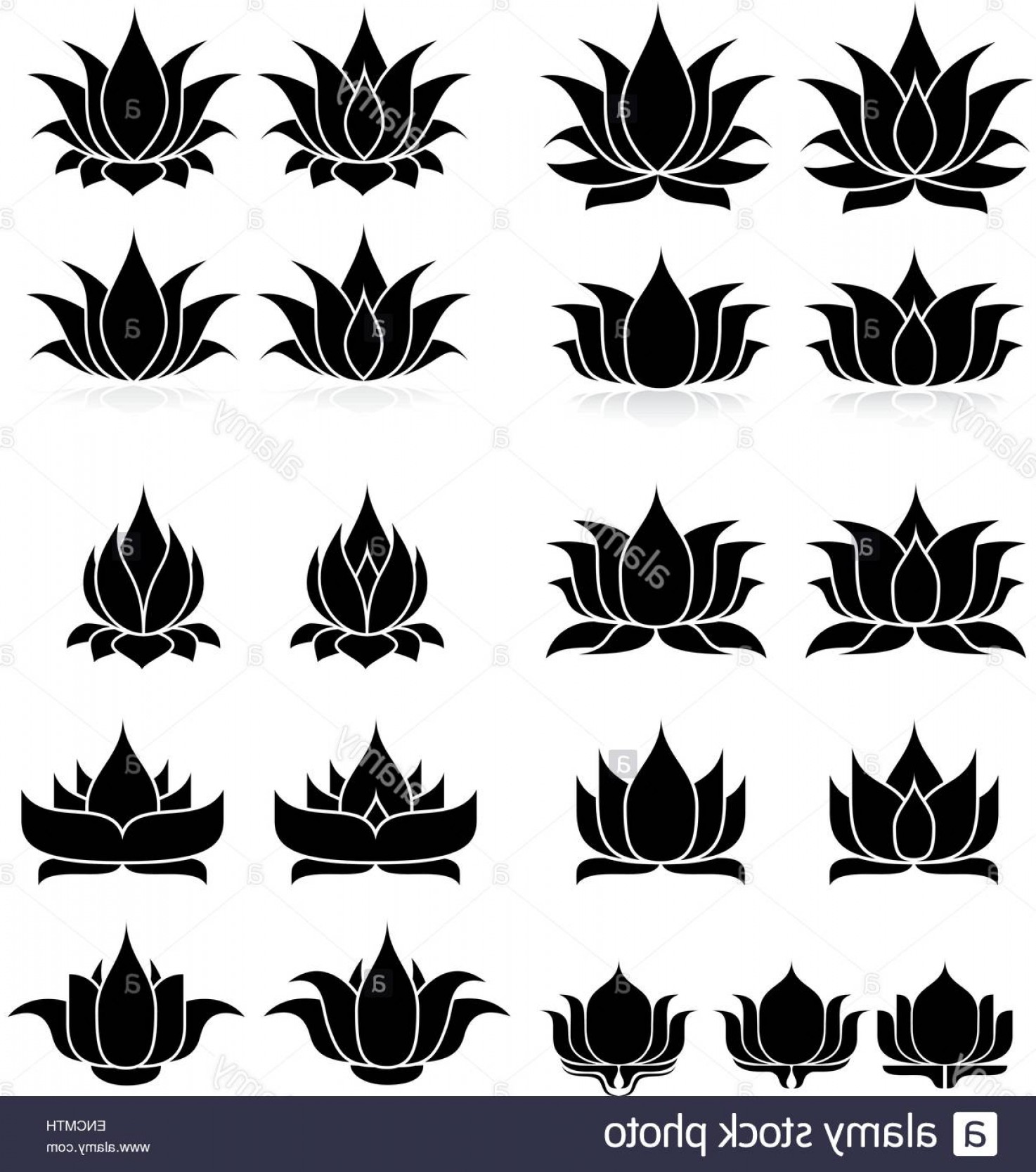 1474x1668 Vector Floral Silhouette Art Lamaison