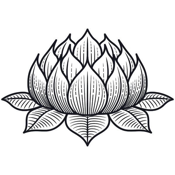600x600 Lotus Flower Silhouette Illustration