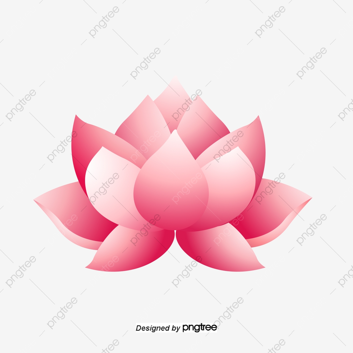 1200x1200 Lotus Flower Cartoon, Lotus Vector, Flower Vector, Cartoon Vector