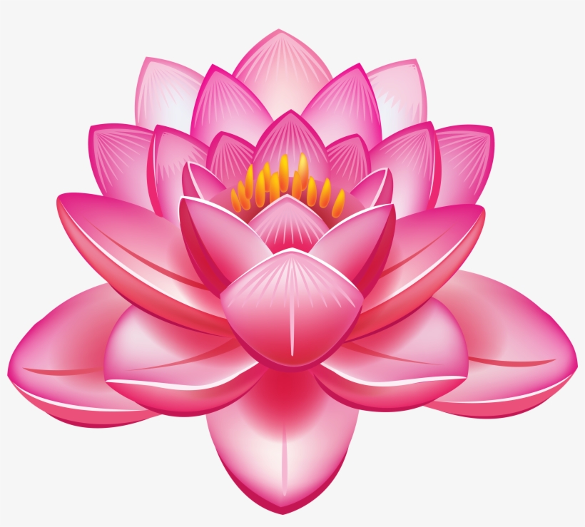 820x739 Lotus Flower Vector Png