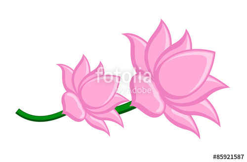 500x329 Lotus Flowers Vector Clipart Stock Image And Royalty Free Vector