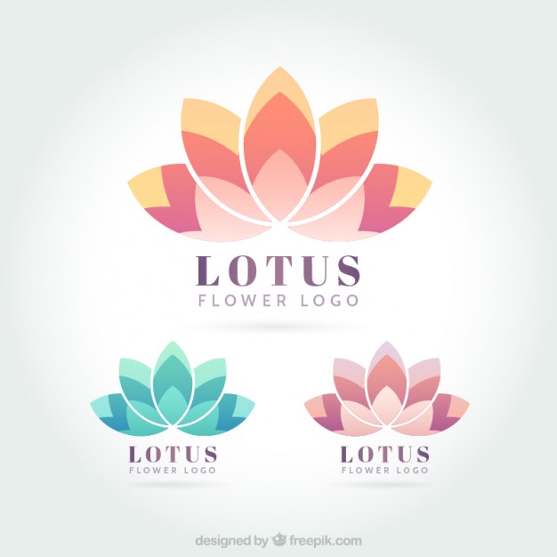 626x626 Lotus Vectors, Photos And Free Download
