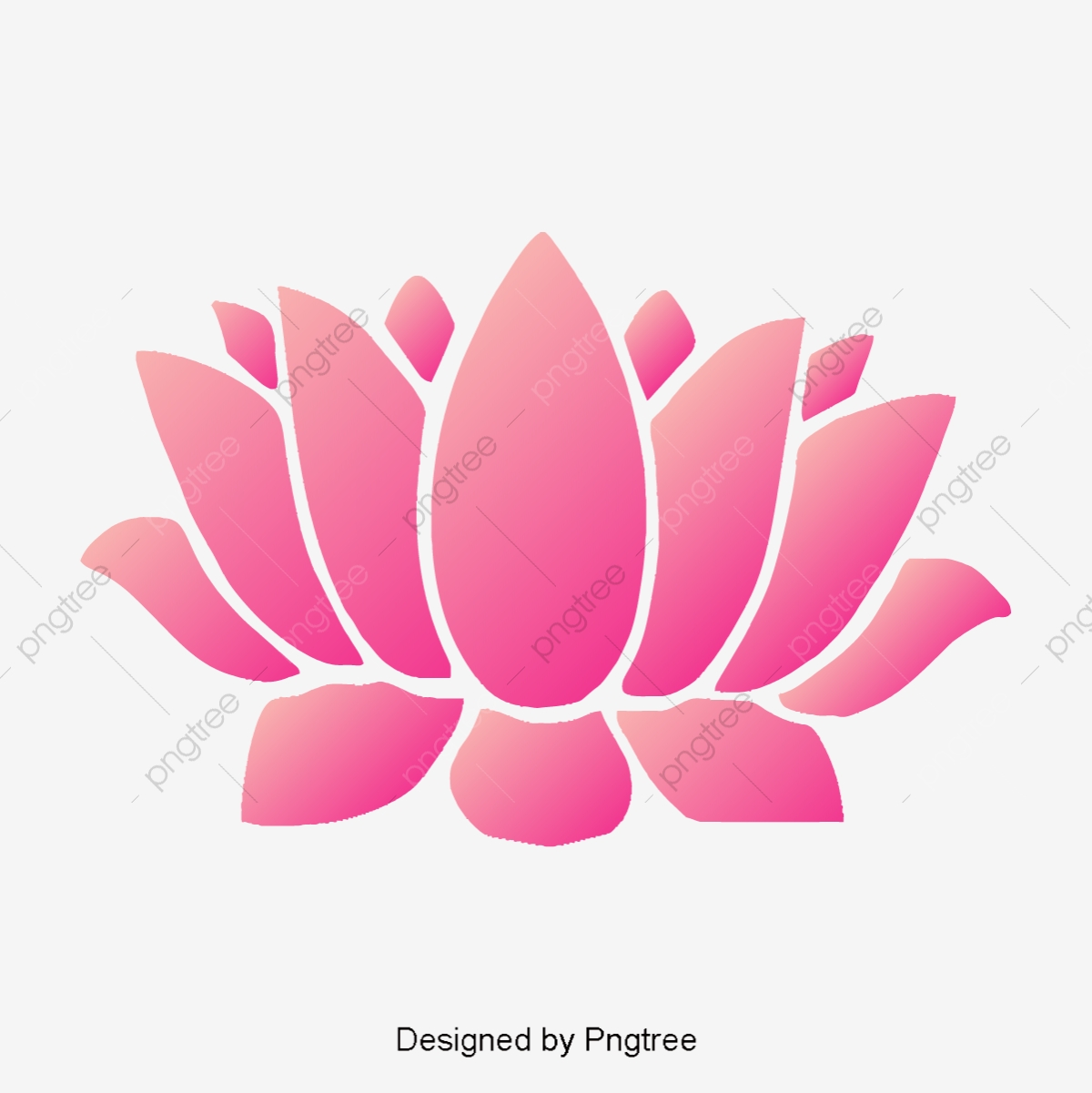 1200x1201 Pink Lotus Water Lantern Festival, Lotus, Flower, Flower Vector