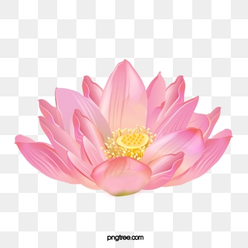 360x360 Lotus Flower Png, Vector, And Clipart With Transparent
