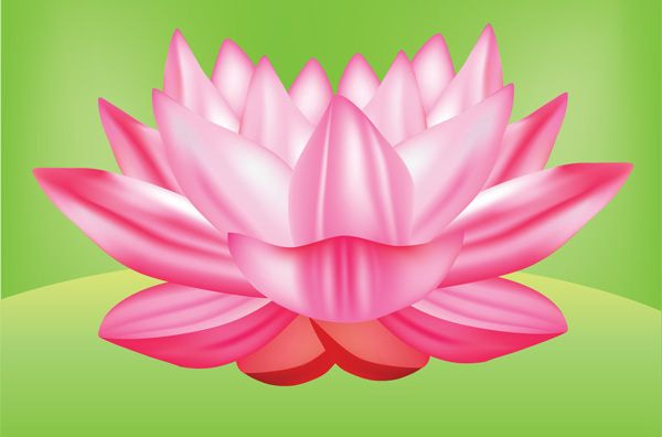 600x396 Lotus Flower Vector Graphic Free Free Graphics Uihere