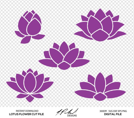 570x502 Lotus Clipart Vector For Free Download And Use Images