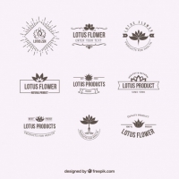 200x200 Lotus Logo Vector Free Vector Graphic Art Free Download