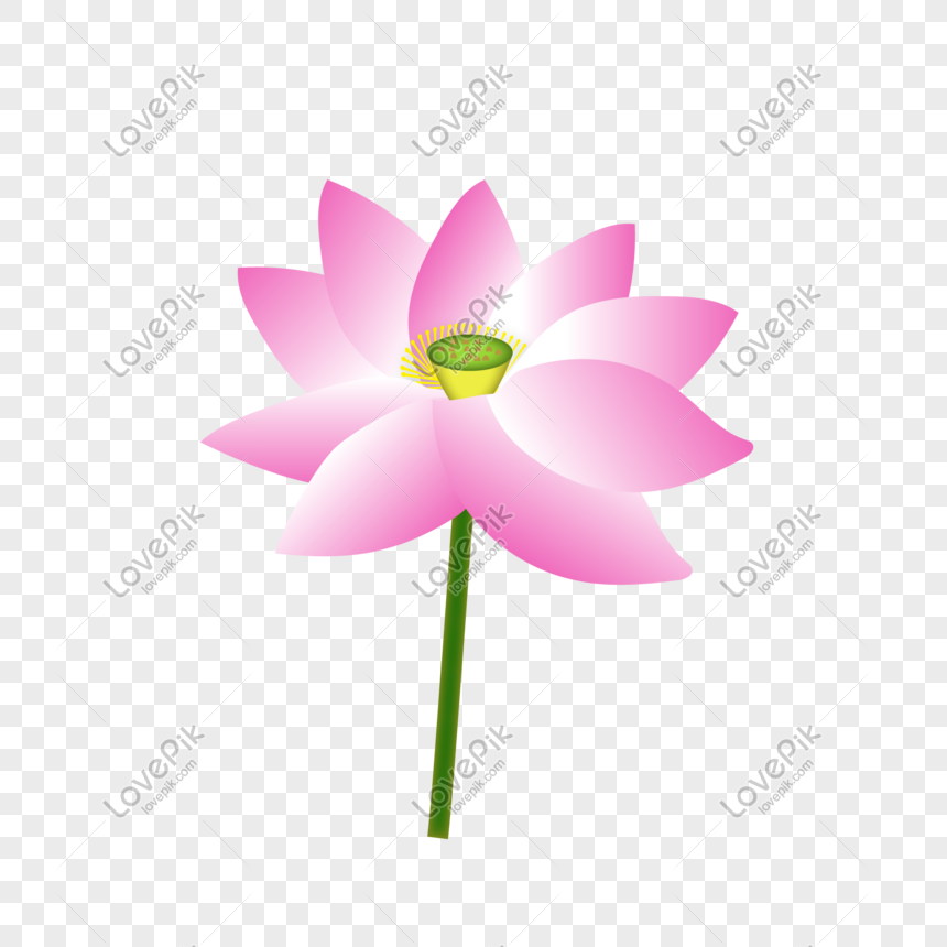 Lotus Flower Vector Free at Collection of Lotus