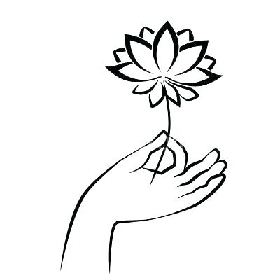 400x400 Lotus Flower Sketch