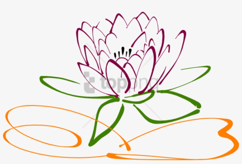 820x556 Free Png Download Lotus Flower Vector Png Images Background