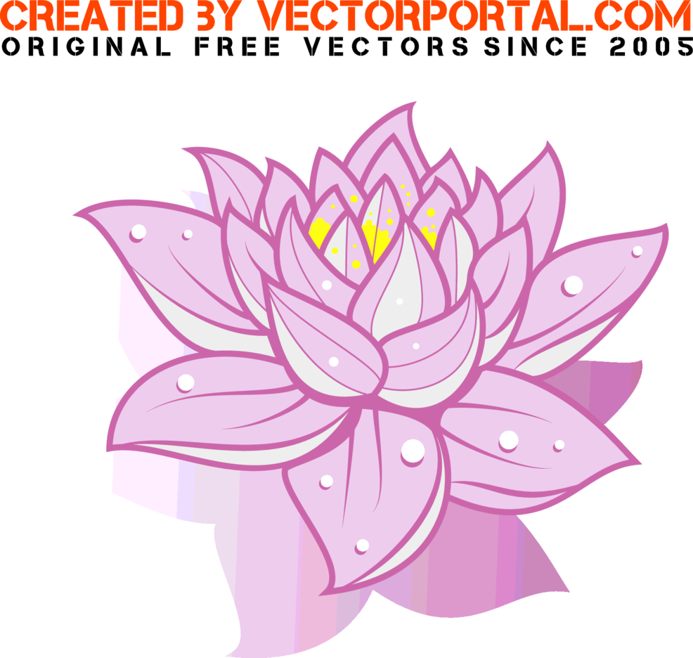 986x936 Free Vector Lotus Flower Freevectors