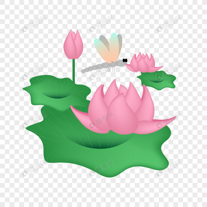 860x860 Lixia Lotus Flower Vector Material Png Image Picture Free Download