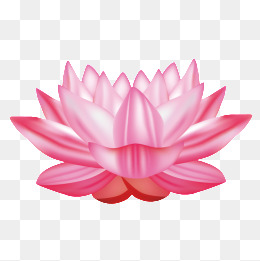 260x261 Lotus Flower Png Images Vectors And Ps