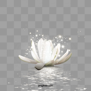360x360 Lotus Flower Png, Vector, And Clipart With Transparent