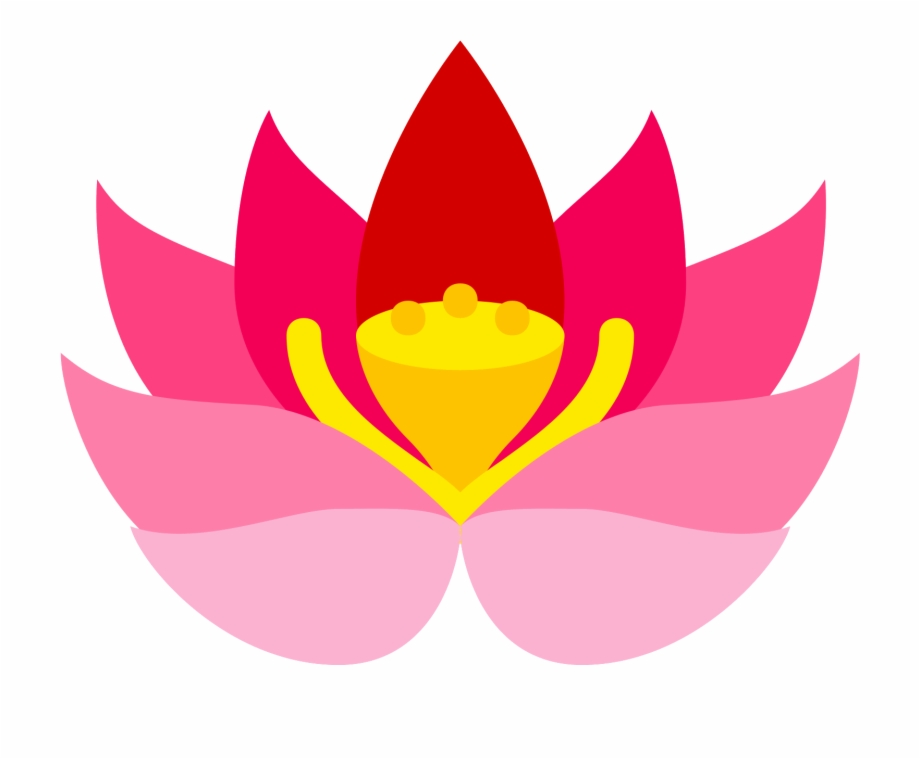 920x759 Lotus Flower Vector Free Download