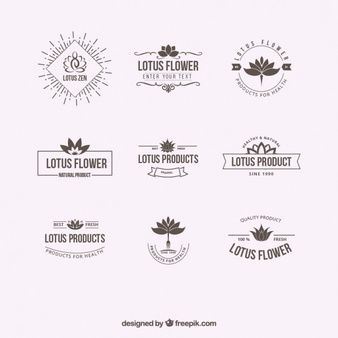 338x338 Lotus Flower Vectors, Photos And Free Download