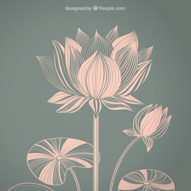 626x626 Lotus Vectors, Photos And Free Download Art Nouveau