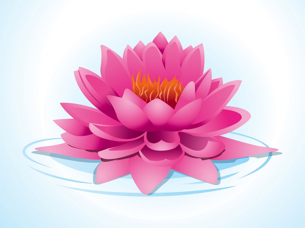 1024x767 Pink Lotus Vector Art Graphics