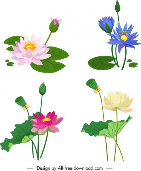 496x600 Download Free Vector Lotus Flower Icons Colorful Classical Design