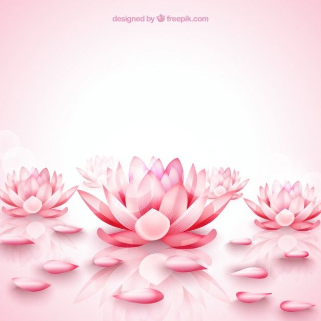626x626 Pink Lotus Flowers Background Free Vector Iphone Wallpapers