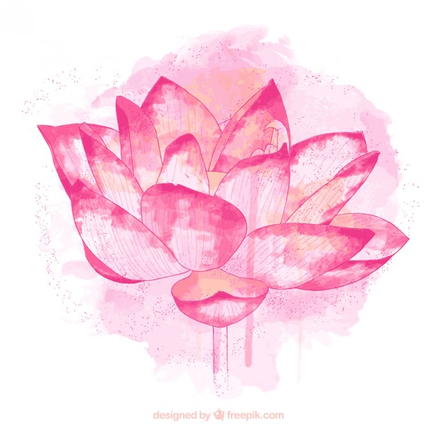 626x626 Hand Painted Lotus Flower Vector Free Download