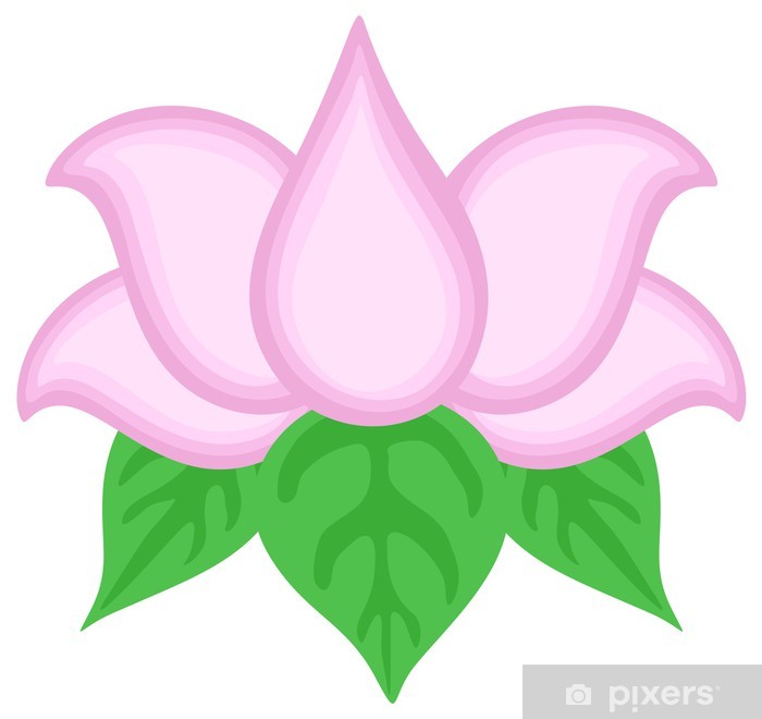 700x660 Lotus Flower Vector Wall Mural
