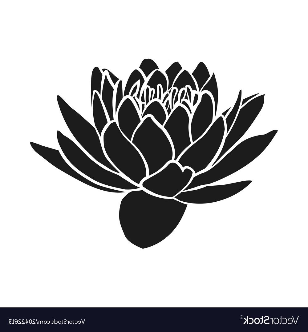 1000x1080 Best Hd Lotus Flower Vector Black And White Photos Free Vector