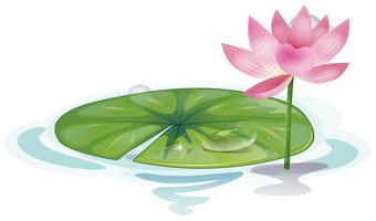 340x200 Leaves Clipart Lotus For Free Download And Use Images