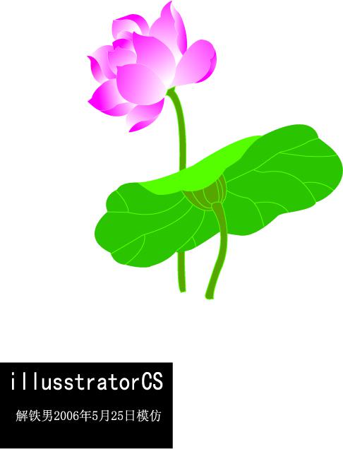 486x636 Lotus Leaf Vector